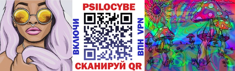 купить  цена  Тарко-Сале  Галлюциногенные грибы Magic Shrooms 